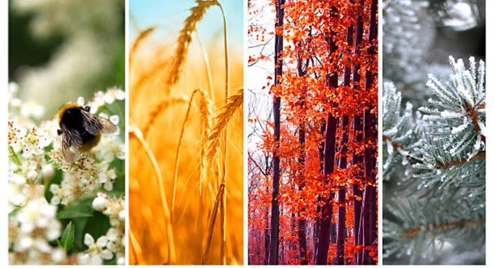 Astrologie des saisons : comment chaque saison impacte votre signe