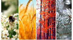 Astrologie des saisons : comment chaque saison impacte votre signe